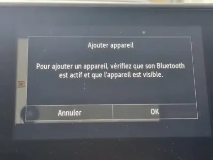 Photo 10 Renault Clio V Business TCe 90 -21