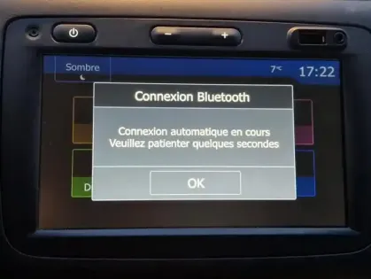 Photo 15 Dacia Duster II Prestige Blue dCi 115 4x2