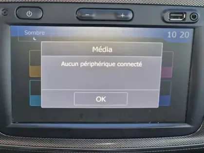 Photo 8 Dacia Sandero Stepway Blue dCi 95