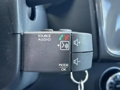 Photo 18 Dacia Sandero Stepway TCe 90