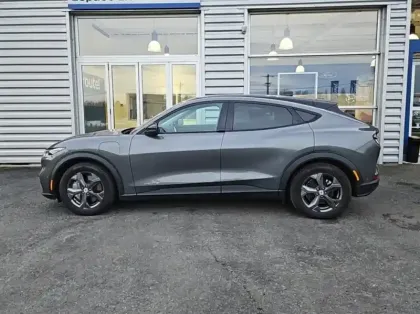 Photo 19 Ford Mustang mach-E 269ch Standard Range 72,6kWh Propulsion