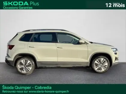 Photo 3 Skoda Karoq  2.0 TDI 116ch SCR Business