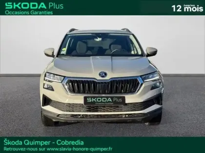 Photo 1 Skoda Karoq  2.0 TDI 116ch SCR Business