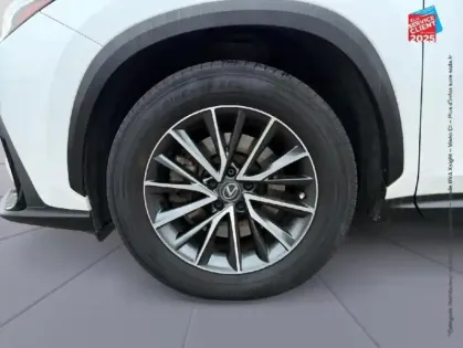 Photo 9 Lexus Nx  450h+ Luxe 4WD