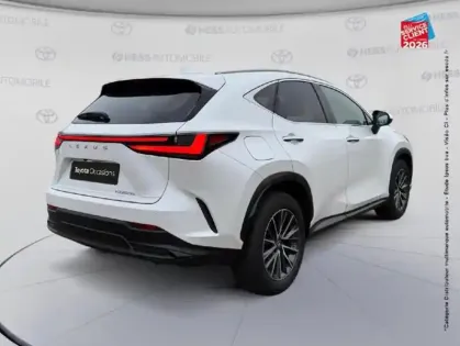 Photo 20 Lexus Nx  450h+ Luxe 4WD