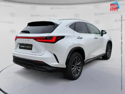 Photo 5 Lexus Nx  450h+ Luxe 4WD