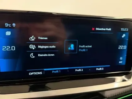 Photo 12 Peugeot 2008  1.5 BlueHDi 110ch S&S GT