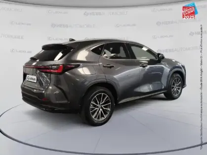 Photo 20 Lexus Nx  450h+ Luxe 4WD
