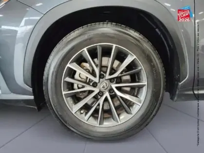 Photo 39 Lexus Nx  450h+ Luxe 4WD