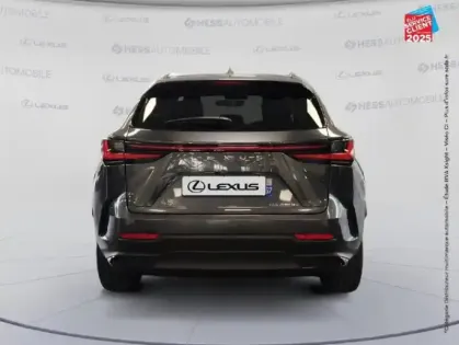 Photo 6 Lexus Nx  450h+ Luxe 4WD