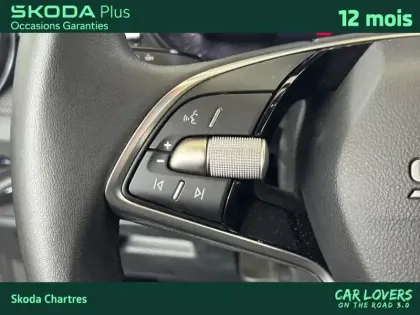 Photo 16 Skoda Fabia  1.0 TSI 95 ch EVO 2 BVM5