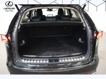 Photo 19 Lexus Nx 300H 4WD Luxe