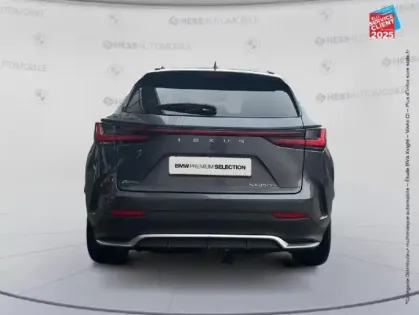 Photo 6 Lexus Nx  450h+ F SPORT Executive 4WD