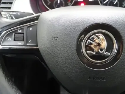 Photo 13 Skoda Fabia  1.0 TSI 95ch Business Euro6d-T