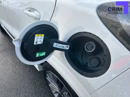 Photo 50 Ford Puma  1.0 EcoBoost 125 ch mHEV S&S Powershift