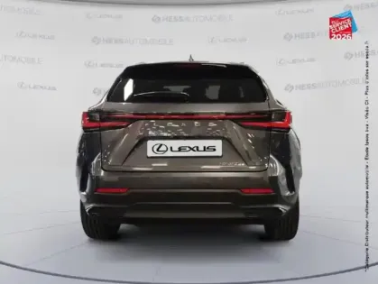 Photo 21 Lexus Nx  450h+ Luxe 4WD