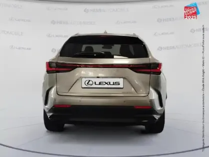 Photo 6 Lexus Nx  450h+ Executive 4WD MY24