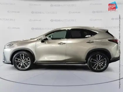 Photo 8 Lexus Nx  450h+ Executive 4WD MY24