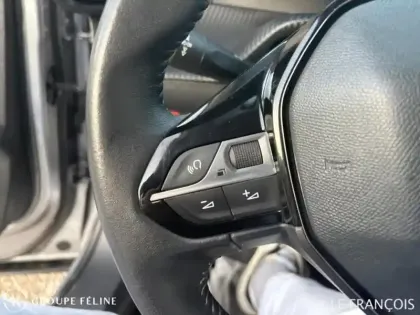 Photo 14 Peugeot 2008  e- 136ch Allure Business