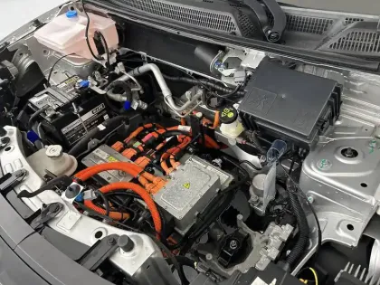 Photo 21 Dacia Spring  Achat Intégral