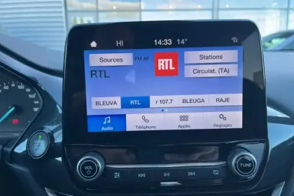 Photo 19 Ford Puma  1.0 Flexifuel 125 ch mHEV S&S BVM6