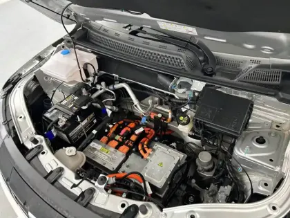 Photo 30 Dacia Spring  Achat Intégral