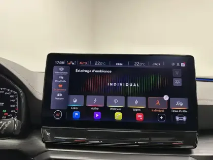 Photo 21 Cupra Formentor  2.0 TSI 245 ch DSG7