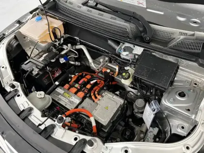 Photo 21 Dacia Spring  Achat Intégral