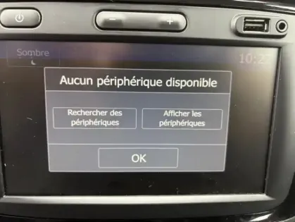 Photo 12 Dacia Lodgy 7 Places Stepway Blue dCi 115