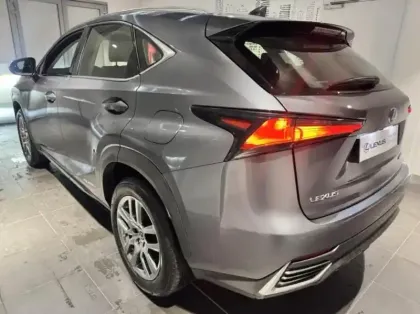 Photo 7 Lexus Nx  300h 2WD Pack Business Euro6d-T