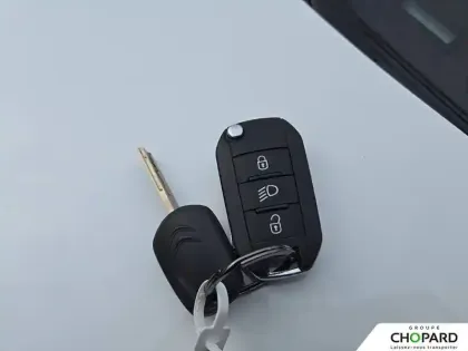 Photo 20 Citroën C3  BlueHDi 100 S&S BVM6