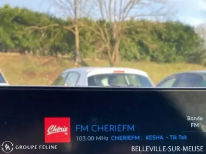 Photo 13 Peugeot 3008  1.2 PureTech 130ch S&S Roadtrip EAT8