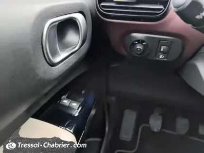 Photo 23 Citroën C4  Cactus PureTech 110 S&S BVM6