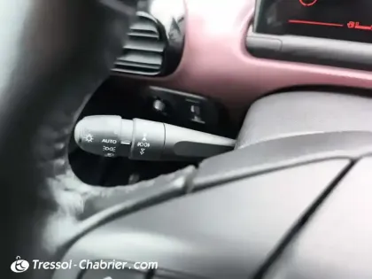 Photo 21 Citroën C4  Cactus PureTech 110 S&S BVM6