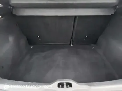 Photo 14 Citroën C4  Cactus PureTech 110 S&S BVM6