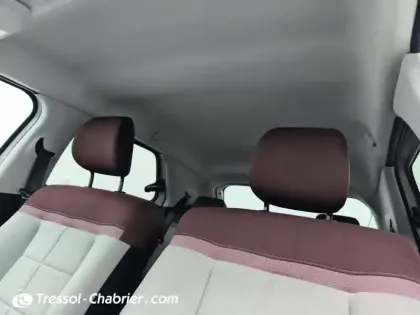 Photo 24 Citroën C4  Cactus PureTech 110 S&S BVM6