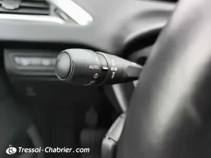 Photo 21 Peugeot 2008  PureTech 82ch S&S BVM5