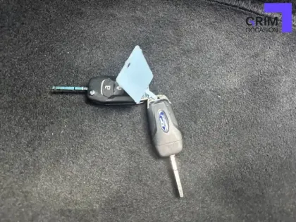 Photo 88 Ford Puma  1.0 Flexifuel 125 ch mHEV S&S BVM6