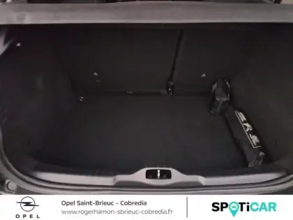 Photo 5 Citroën C4  Cactus PureTech 110ch S&S Shine EAT6 E6.d-TEMP