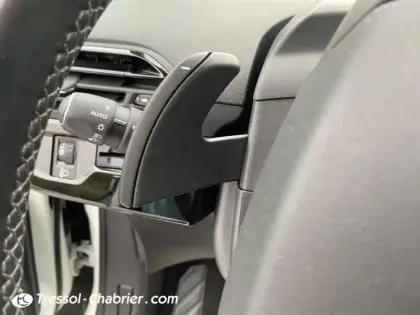 Photo 16 Citroën C4 Picasso  BlueHDi 120 S&S Confort EAT6