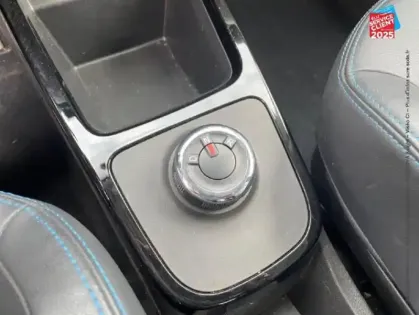 Photo 12 Dacia Spring  45ch Business 2020 - Achat Intégral