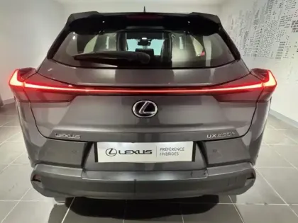 Photo 5 Lexus UX  250h 2WD Pack Business MY20