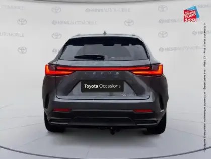 Photo 6 Lexus Nx  450h+ Executive 4WD MY24