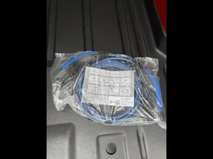 Photo 12 Ford Custom Gén. II Ph1 Sport 1