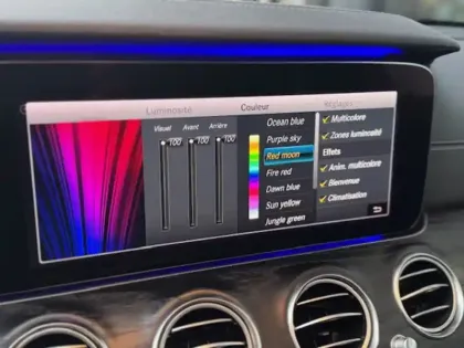 Photo 16 Mercedes Classe E Break 220 d AMG Line