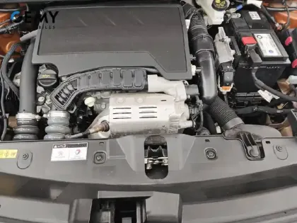 Photo 49 Peugeot 2008  PureTech 100 S&S BVM6