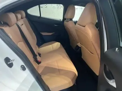 Photo 25 Lexus UX  250h F SPORT Design 2WD