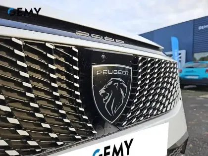 Photo 15 Peugeot 3008  Electrique 210 ch 73 kWh