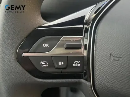 Photo 14 Peugeot Partner  DANGEL 4X2 SERIE XTREK M 650 KG BLUEHDI 130 S&S BVM6