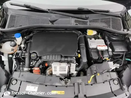 Photo 26 Citroën C4  Cactus PureTech 110 S&S